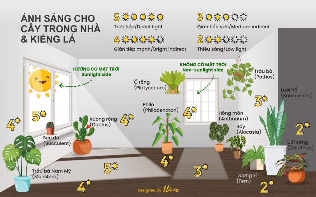 室内植物と観賞植物用のライト