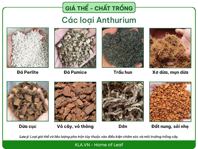 Giá thể - Chất trồng Anthurium