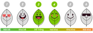 Độ khó trồng Platycerium