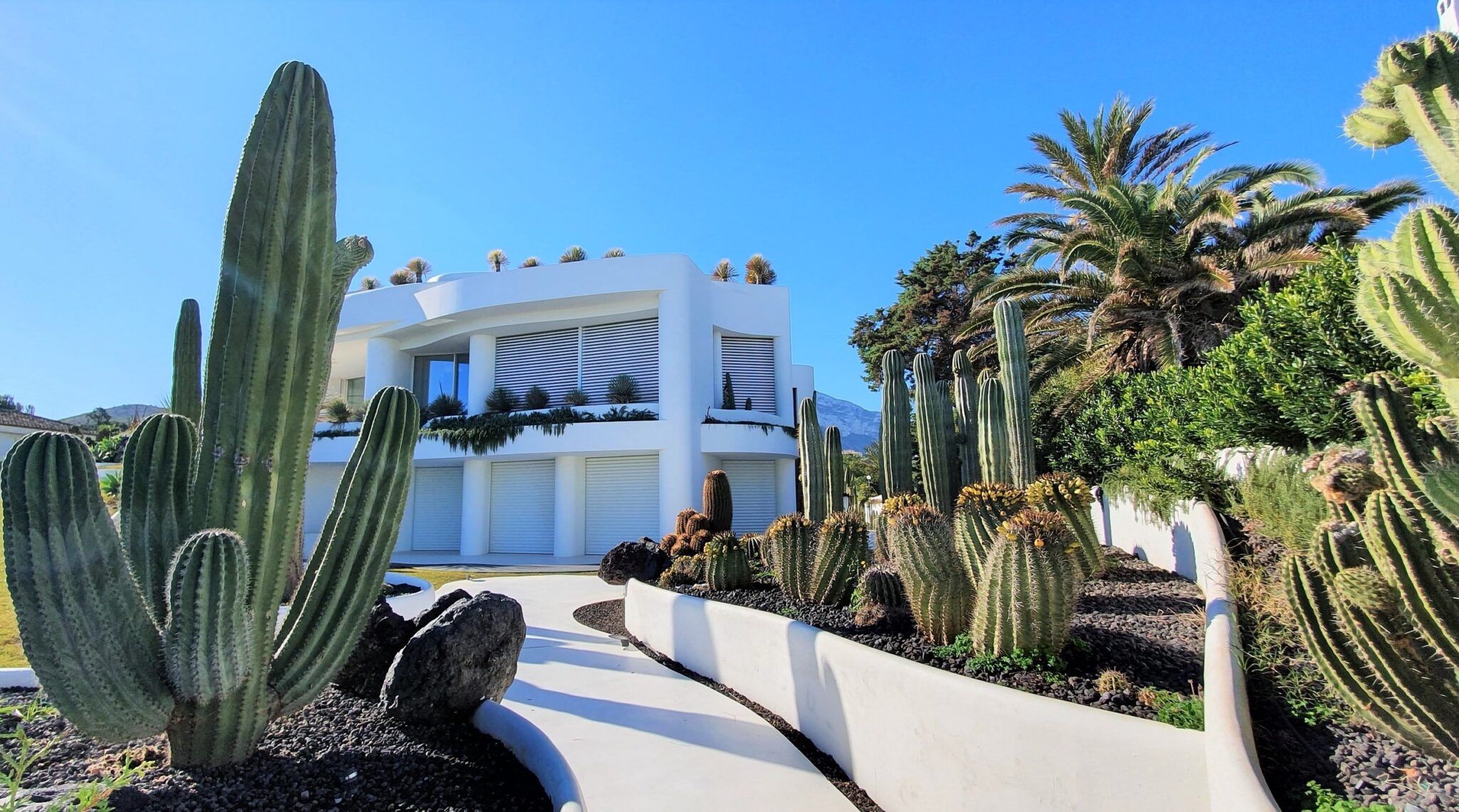 10 Landscape Design Trends for 2025