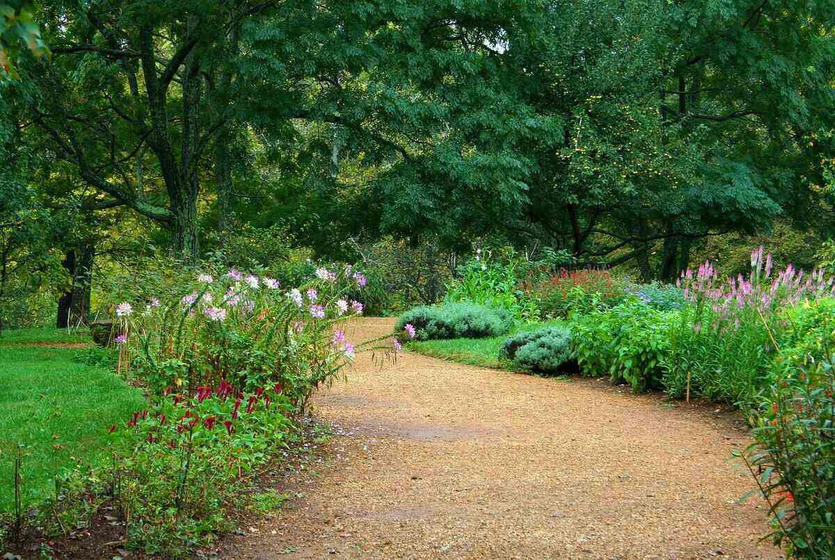 Tree & Landscape Consulting Principles of sustainable landscape design