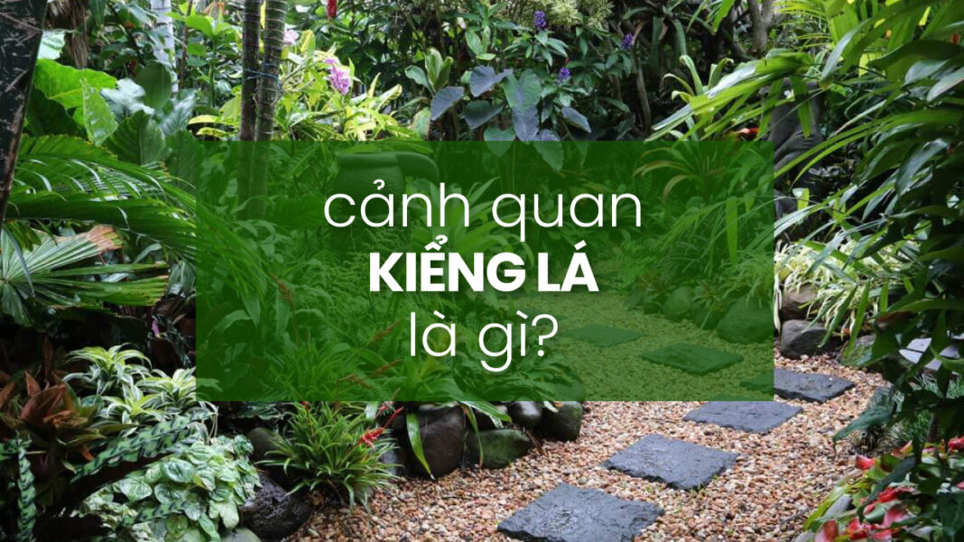 cảnh quan kiểng lá