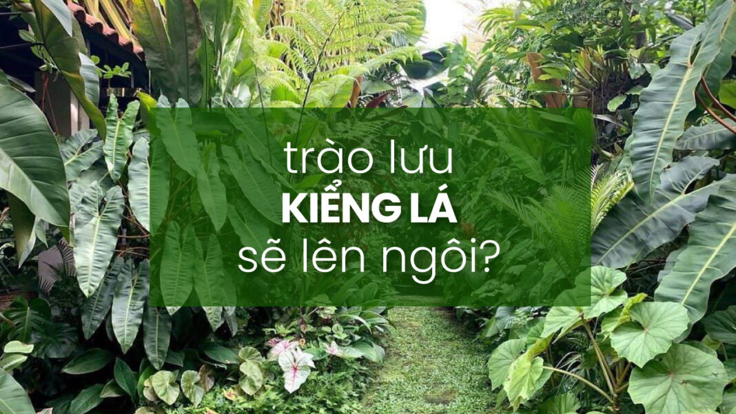 kiểng-lá-là-gì