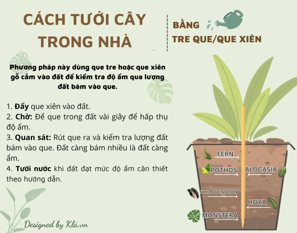 Hiểu rõ nước cho cây trong nhà & kiểng lá