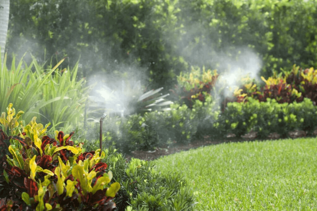 室内や観賞用の植物の水について