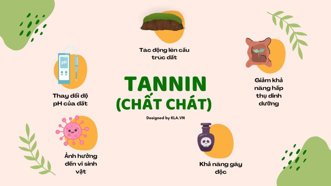 Tannin (chất chát) trong giá thể: Giải thích, ảnh hưởng và xử lý