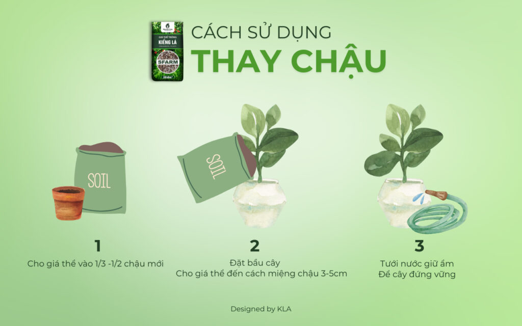 Giá thể trồng kiểng lá SFARM có tốt không?