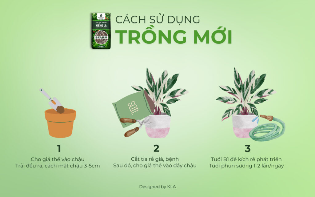 Giá thể trồng kiểng lá SFARM có tốt không?