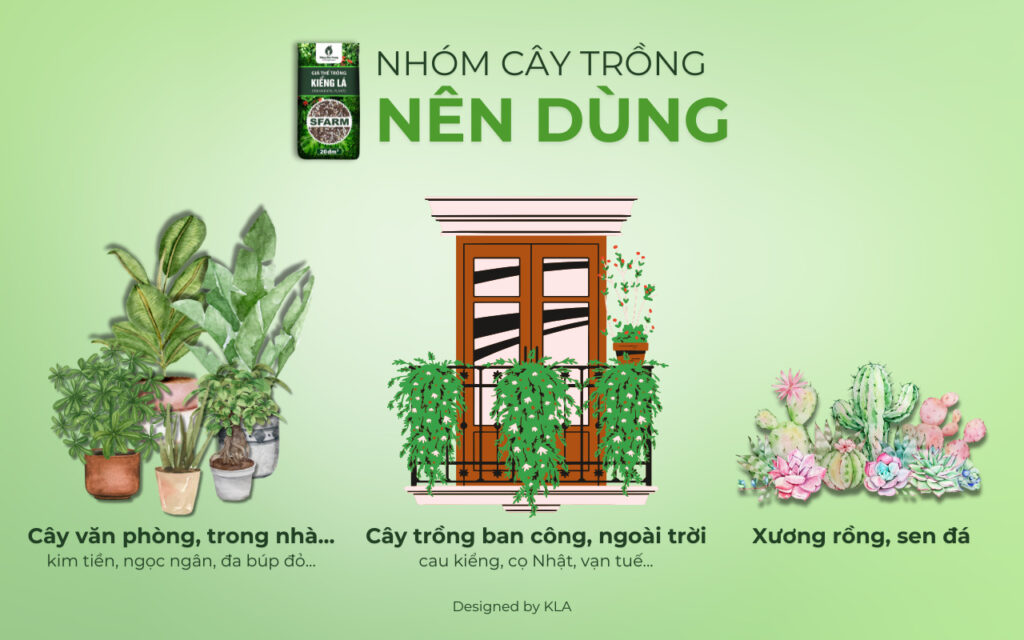 Giá thể trồng kiểng lá SFARM có tốt không?