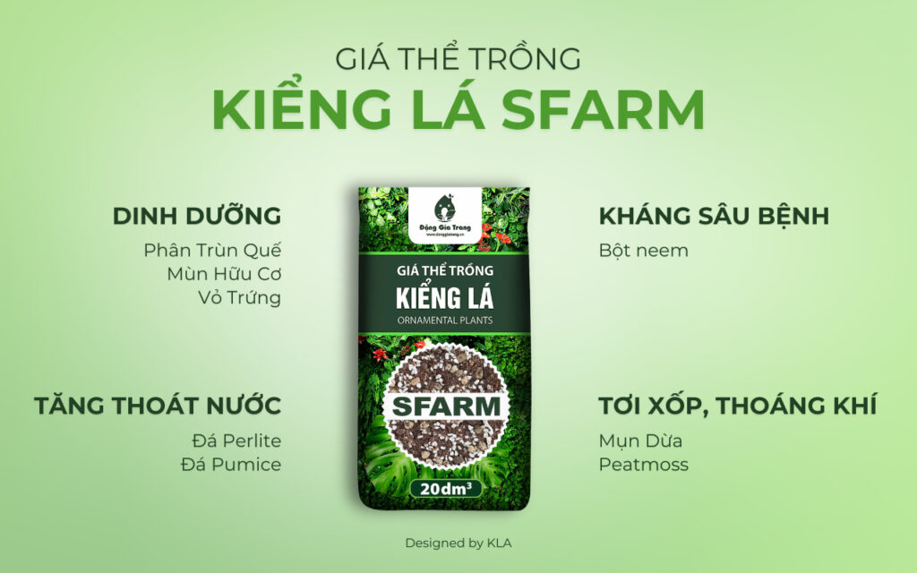 Giá thể trồng kiểng lá SFARM có tốt không?