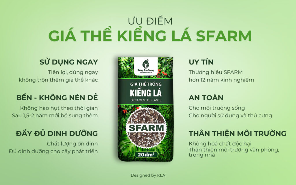 Giá thể trồng kiểng lá SFARM có tốt không?