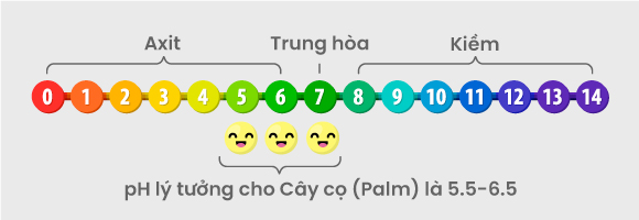 ph lý tưởng cho cây cọ