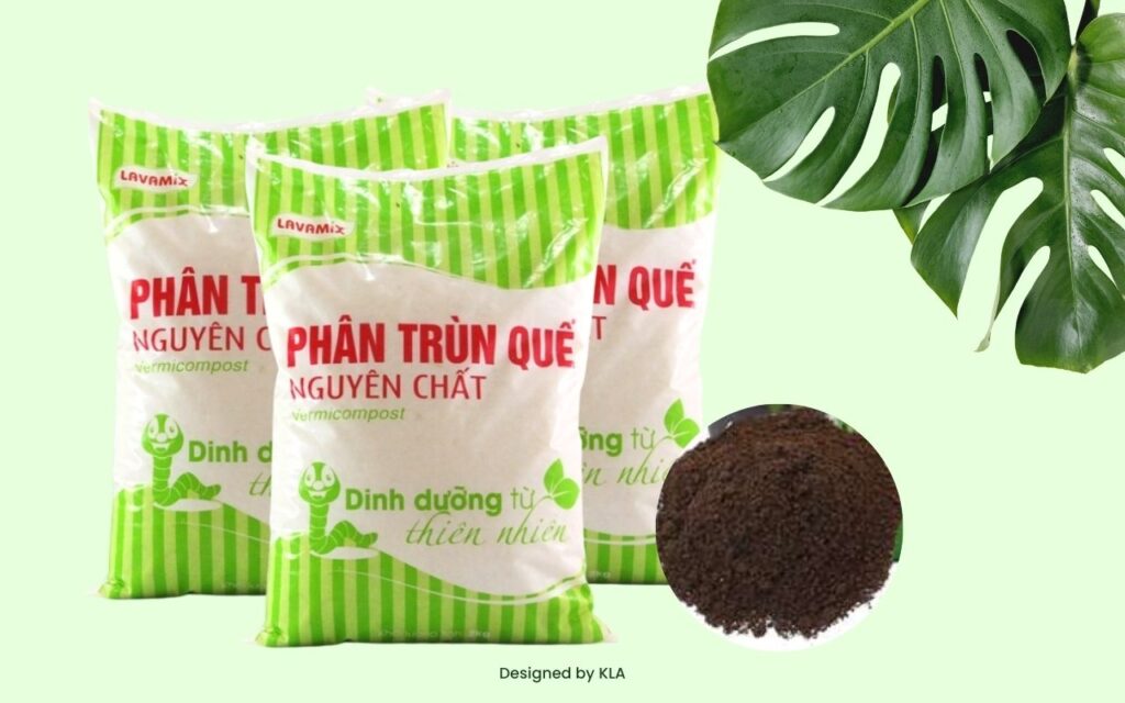 Top loại phân trùn quế được ưa chuộng nhất hiện nay