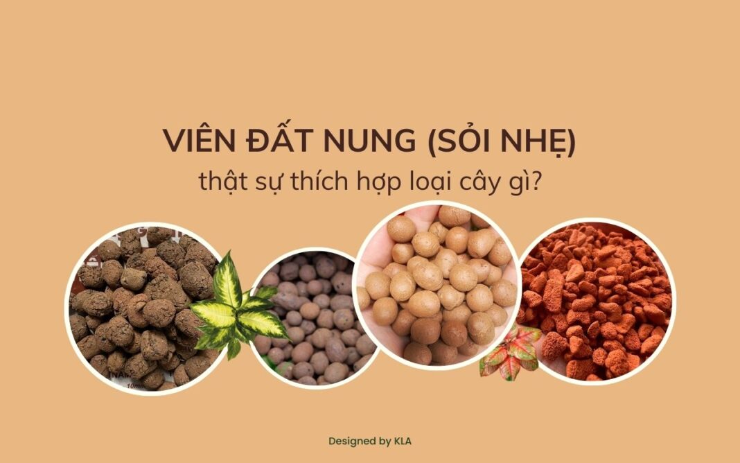 Viên đất nung