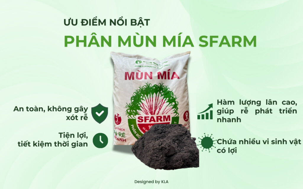 Phân mùn mía: Lựa chọn hữu cơ thân thiện cho cây trồng