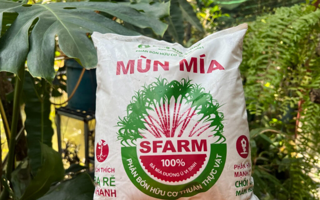 Sugarcane Humus: A Plant-Friendly Organic Choice