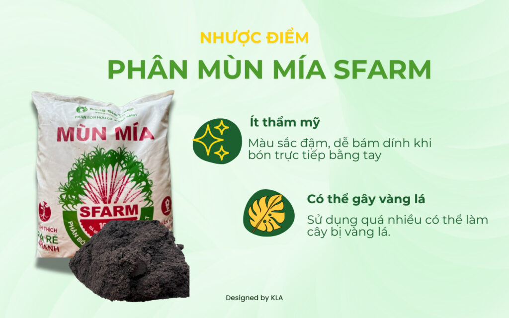 Phân mùn mía: Lựa chọn hữu cơ thân thiện cho cây trồng