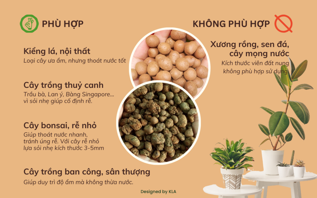 Viên đất nung (sỏi nhẹ) thích hợp cho loại cây gì?