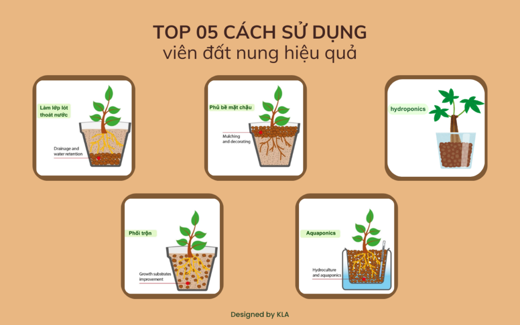 Viên đất nung (sỏi nhẹ) thích hợp cho loại cây gì?