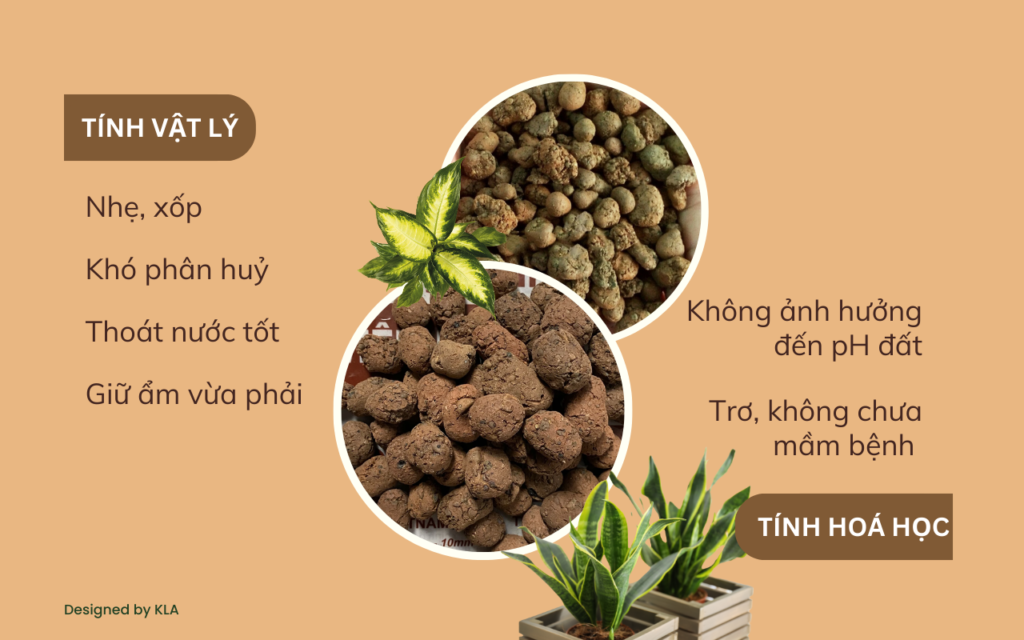 Viên đất nung (sỏi nhẹ) thích hợp cho loại cây gì?