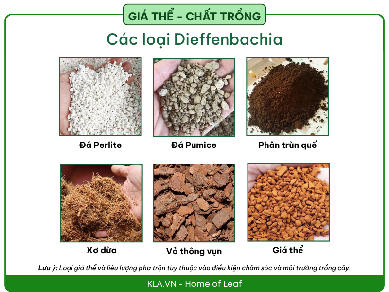 Suelo para Dieffenbachia