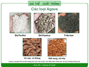 Giá thể trồng cây 