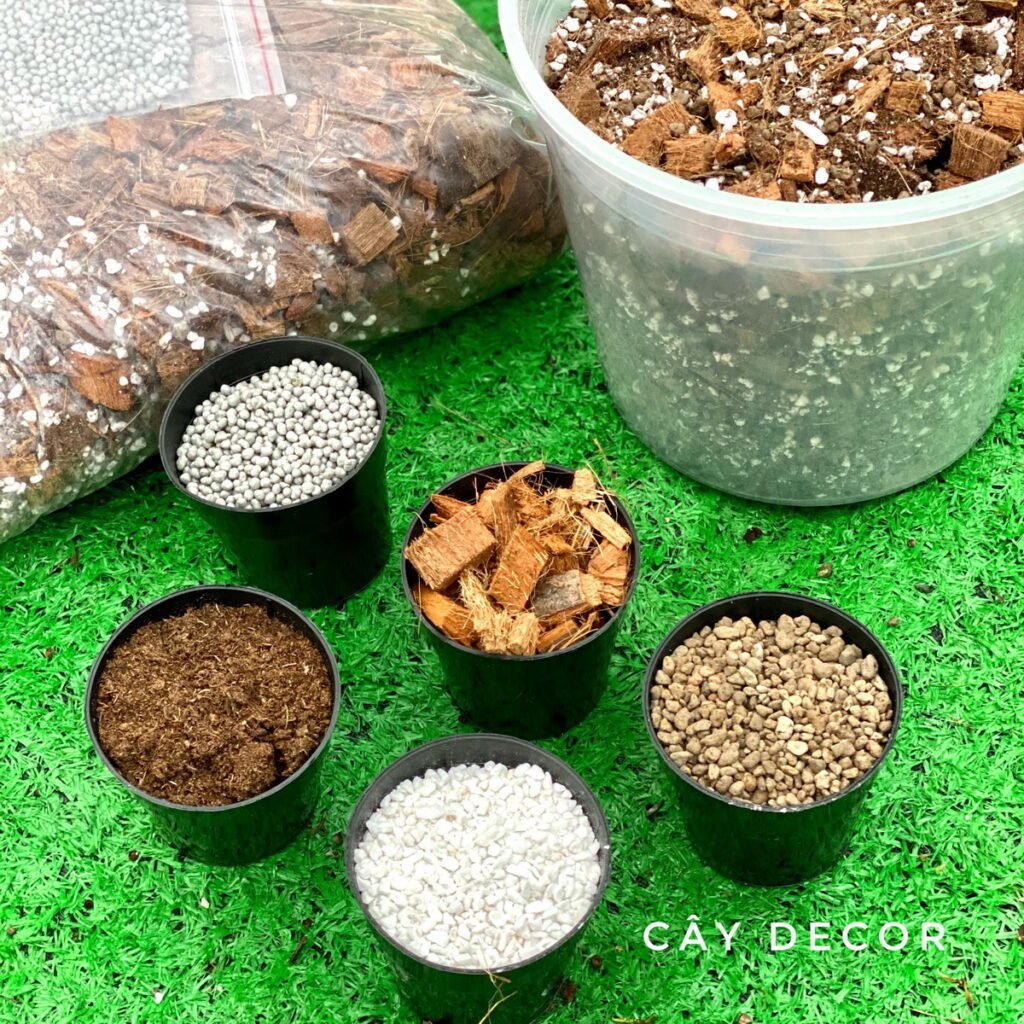 Tổng hợp 10 loại giá thể trộn sẵn cho kiểng lá - So sánh & đánh giá chi tiết