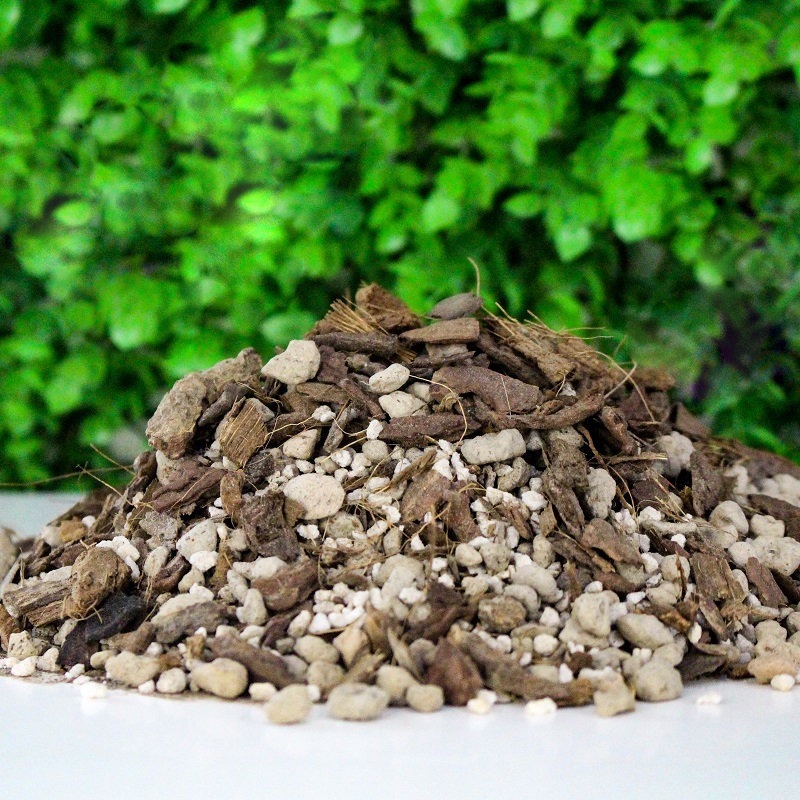 Tổng hợp 10 loại giá thể trộn sẵn cho kiểng lá - So sánh & đánh giá chi tiết