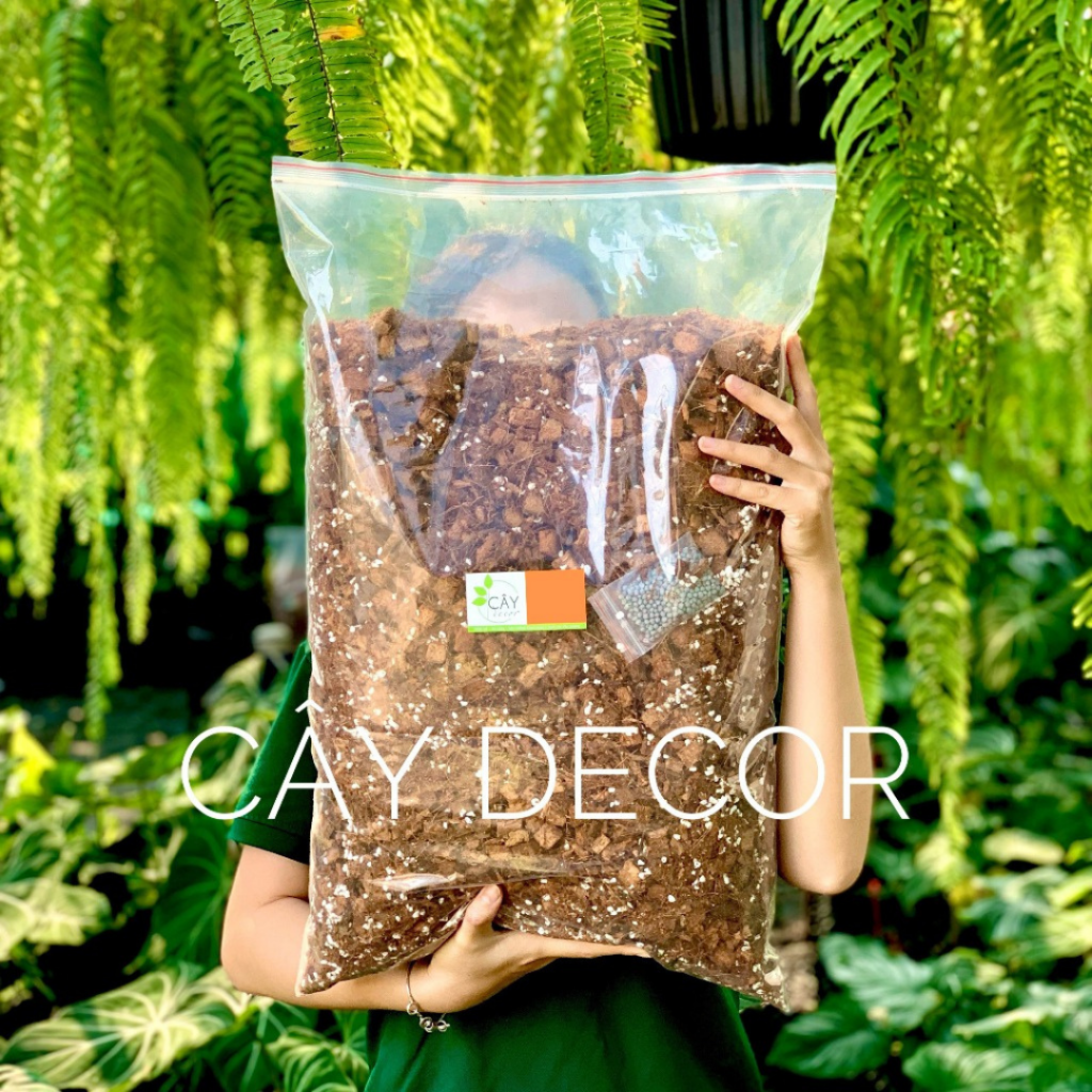 Tổng hợp 10 loại giá thể trộn sẵn cho kiểng lá - So sánh & đánh giá chi tiết